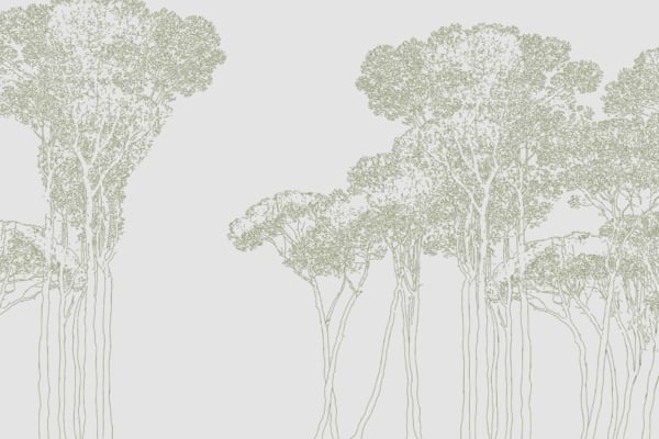 Wallpaper features a minimalist line drawing of tall, slender trees with sparse foliage. The branches and leaves are depicted with intricate, delicate lines, forming an airy and ethereal forest scene. The background is light, enhancing the subtle elegance of the design. Colors primarily include soft blacks for lines on a gentle off-white or pastel background. Key elements: minimalist trees, slender trunks, sparse foliage, intricate branches, ethereal forest scene.