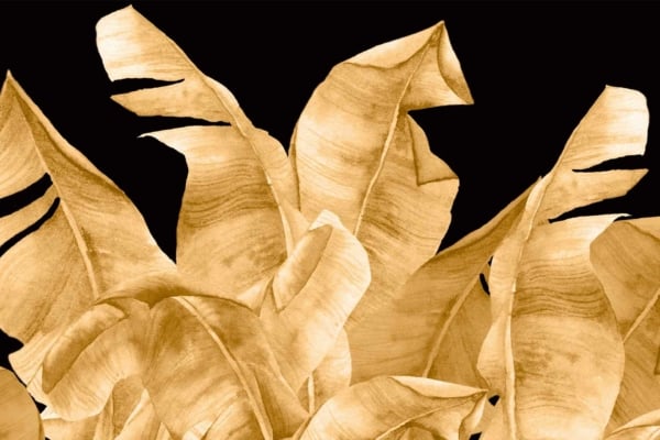Discover this captivating digital wallpaper showcasing a cluster of overlapping banana leaves in luxurious shades of gold set against a bold black background. The intricate textures of the leaves create an elegant and tropical aesthetic, making it a stunning addition to any space. Perfect for searches involving tropical themes, gold accents, and high-contrast designs.