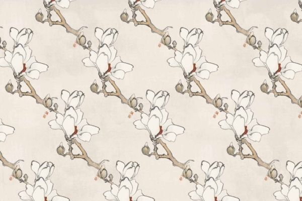 Delicate Japanese-style wallpaper with white magnolia blossoms on slender branches against a beige background, decorated with muted green buds. Elegant, minimalist floral design reminiscent of steel magnolias.