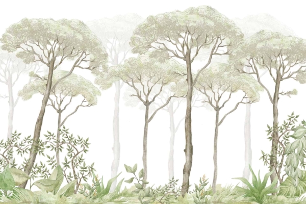 Serene forest wallpaper with tall, slender Stoney Pines, light green foliage. Foreground has green plants and shrubs. Background features additional trees fading into a misty, ethereal atmosphere. Elements: trees, pines, plants, shrubs. Colors: light green foliage, misty background.