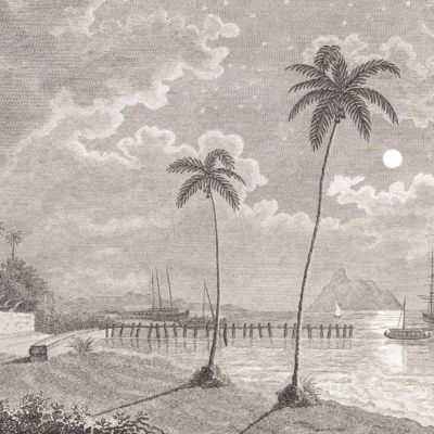 Black and white vintage wallpaper illustration: tranquil seaside scene with two tall palm trees in the foreground, a wooden pier extending into the sea, several sailing ships on the water. Moon and stars in a cloudy night sky. Profound calmness.