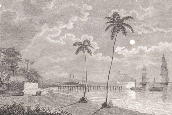 Black and white vintage wallpaper illustration: tranquil seaside scene with two tall palm trees in the foreground, a wooden pier extending into the sea, several sailing ships on the water. Moon and stars in a cloudy night sky. Profound calmness.