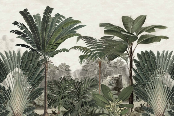 **Wallpaper Illustration: Tropical Jungle**

- **Elements:**
  - Lush tropical jungle
  - Various exotic plants
  - Tall palm trees
  - Dense foliage with large, green leaves of different shapes and sizes
  - Misty distant forest hint in the background

- **Colors:**
  - Vibrant greens (leaves, foliage)
  - Subtle earthy browns (tree trunks)
  - Soft misty grays and whites (background forest)

*Search Keywords:* lush tropical jungle wallpaper, exotic plants, tall palm trees, dense foliage, vibrant verdant atmosphere.