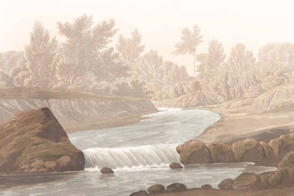 Serene wallpaper featuring a flowing river with a small waterfall, surrounded by lush, tall trees and dense foliage. Scattered rocks along the riverbank add texture. Misty, soft sky above. Colors: green, blue, white, and earthy tones.