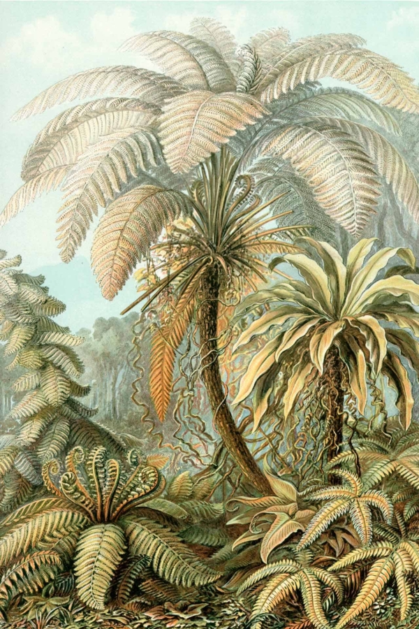 Detailed botanical wallpaper illustration featuring lush, tropical paradise. Elements include tall fern trees with large, arching fronds, smaller curly-leaved ferns, and dense vegetation. Background is a soft blue sky. Highlighted elements: fern leaves, arching fronds, tropical plants, curly foliage. Color palette: greens of various shades for the foliage and a serene soft blue for the sky.