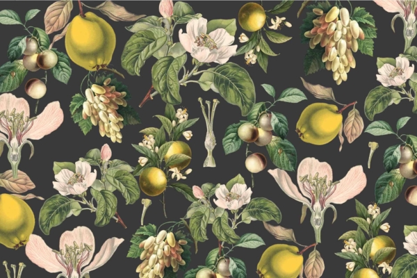 A dark background featuring botanical illustrations with flowers, leaves, lemons, grapes, and vine-like plants. The vintage pattern highlights serene post-rain beauty using rich greens, vibrant yellows from lemons, deep purples of grapes, and intricate leaf details.
