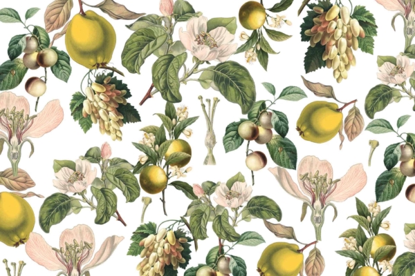 A seamless pattern featuring lemons, grapes, delicate green leaves, white blossoms, and botanical elements against a crisp white background. Highlighted colors: yellow (lemons), purple (grapes), green (leaves), white (blossoms). Perfect for evoking freshness and clarity reminiscent of After the Rain.