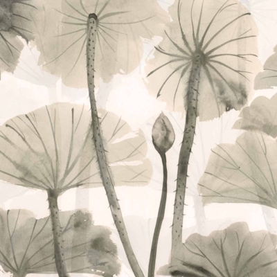 A serene, monochromatic watercolor wallpaper by Alice and Co showcases tall lotus leaves with elongated stems swaying gently. A single lotus bud stands out against the soft, translucent layers of overlapping leaves. The calming hues and delicate detailing evoke tranquility and nature's beauty.