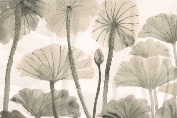A serene, monochromatic watercolor wallpaper by Alice and Co showcases tall lotus leaves with elongated stems swaying gently. A single lotus bud stands out against the soft, translucent layers of overlapping leaves. The calming hues and delicate detailing evoke tranquility and nature's beauty.
