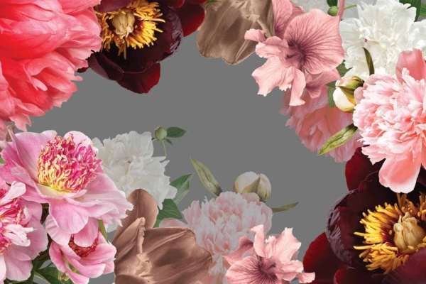 Vibrant wallpaper with a floral border featuring peonies and hibiscus flowers in shades of pink, red, white, and brown. Grey background. Lush petals and varied colors create an ornate frame reminiscent of Alice's Garden.