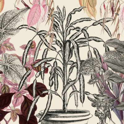 Wallpaper with intricate botanical illustration featuring various plants and flowers in decorative pots. Detailed black-and-white sketches combined with color accents, including pink and red leaves. Whimsical and vintage aesthetic, perfect for adding charm to apartment living.