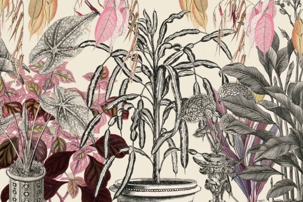 Wallpaper with intricate botanical illustration featuring various plants and flowers in decorative pots. Detailed black-and-white sketches combined with color accents, including pink and red leaves. Whimsical and vintage aesthetic, perfect for adding charm to apartment living.