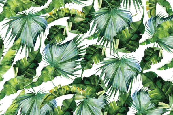 Illustration of vibrant green tropical leaves on a white background. The pattern features various leaf varieties, including large banana leaves and fan-shaped palm leaves, arranged densely to create a lush, jungle-like effect. Elements: banana leaves, fan palm leaves. Colors: vibrant green, white background.