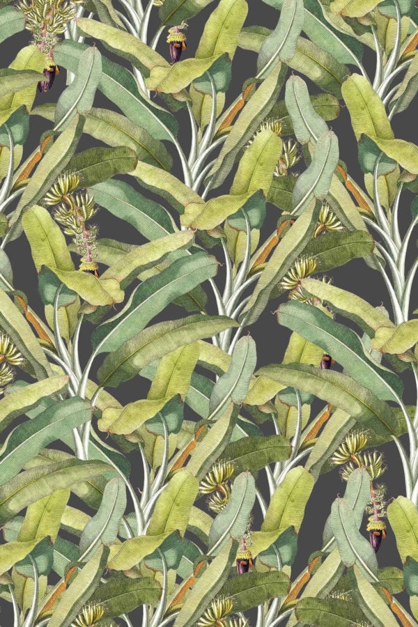 Immerse in a lush tropical botanical design featuring overlapping green and yellowish banana leaves, complemented by vibrant banana flowers scattered throughout. The intricate wallpaper pattern stands out against a muted dark background, with rich foliage textures and eye-catching bursts of color.