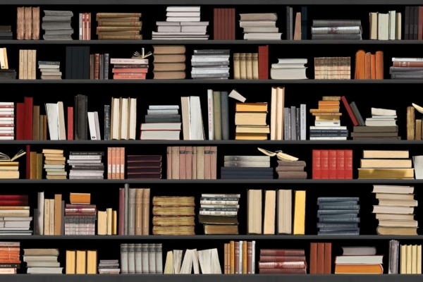 The wallpaper behind the large biblioteek bookshelf features a vintage floral pattern, with intricate vines and leaves intertwined with blooming flowers. Dominant colors include rich burgundy, deep green, gold accents, and hints of soft cream. The design exudes an old-world charm that complements the eclectic arrangement of books on the shelf.