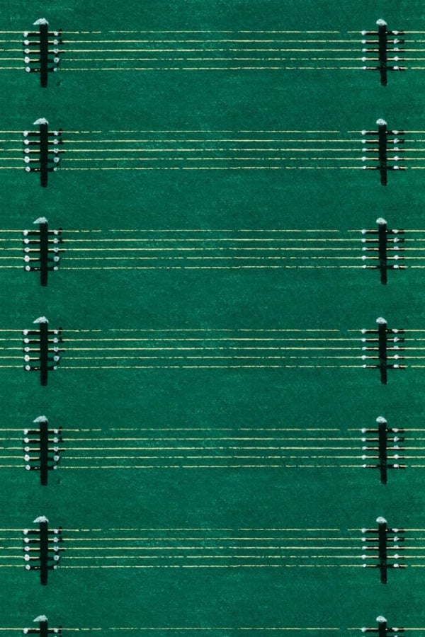 Aerial view wallpaper of a tennis court complex with multiple green tennis courts in a row. White boundary and play lines marked on each court. Courts are separated by tall black nets, resembling birds on a wire. The repeating pattern creates a visually aligned and rhythmic design.
Elements:
- Green tennis courts
- White boundary lines
- White play lines
- Tall black nets
Colors:
- Green (courts)
- White (lines)
- Black (nets)
Pattern: Repeating alignment of tennis courts in aerial perspective.