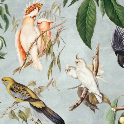 Visual Description of Wallpaper:
- **Birds:**
- **White Cockatoos**: Two, each with an orange crest.
- **White Birds**: Paired, possessing yellow faces.
- **Black Bird**: One, notable for its large beak.
- **Green and Yellow Parrot**: One, vibrant colors.
- **Branches and Foliage**:
- Lush green leaves.
- Branches interwoven among birds.
- **Fruit Elements**:
- Scattered fruits nestled among branches and leaves.
*Color Palette Highlights*: White (cockatoos, white birds), Orange (crests), Yellow (bird faces & parrot hues), Black (large-beaked bird), Green (parrot and leaves).
Use terms like