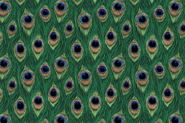 A detailed close-up wallpaper pattern of vibrant peacock feathers, showcasing rich green hues intertwined with eye-like designs in shades of deep blue, black, and tan. The repetitive arrangement creates an intricate tapestry that beautifully captures the essence of these magnificent birds. Keywords: intricate tapestry, rich green hues, peacock feathers, eye-like designs, deep blue and tan accents.