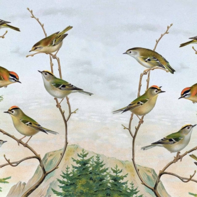 Wallpaper illustration with multiple small birds perched on delicate twigs, symmetrically mirrored. Features ten birds total. Birds showcase a mix of green, yellow, and brown plumage. Background includes a mountainous landscape.
Elements:
- Multiple small birds
- Delicate twigs
- Symmetrical mirroring
- Ten birds in total
- Mix of green, yellow, brown plumage
- Mountainous background