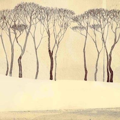 A minimalist wallpaper featuring leafless trees with spindly branches, resembling a forest blueprint, set against a pale beige background. The scene showcases a gentle snow-covered landscape with soft, shadow-like textures that blend into the muted tones of the drawing. Key elements and colors: minimalist illustration, leafless trees, pale beige background, spindly branches, forest blueprint style, snow-covered landscape, soft shadows, muted tones.