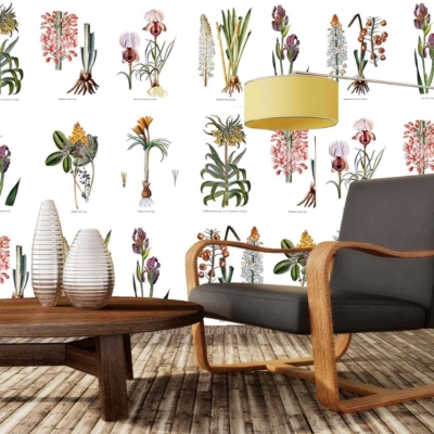 Botanical wallpaper with various colored flowers against a white wall: green leaves, red roses, pink peonies, blue hydrangeas, yellow sunflowers.