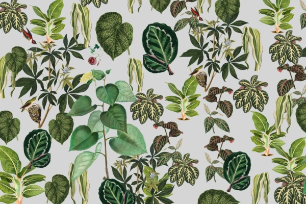 Wallpaper pattern: Various green leafy plants and foliage with striped, spotted, and solid-colored leaves on a light grey background. The design includes a variety of shapes and textures, featuring detailed veins and intricate patterns. Elements include bold stripes, delicate spots, veined leaves, diverse plant shapes like ferns and ivy. Colors span different shades of green from deep emerald to light lime against the soft grey backdrop.