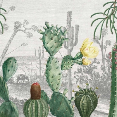 Illustration of cactus heaven in a desert landscape wallpaper. Foreground: various green cacti with yellow and red flowers. Background: monochrome, intricately drawn desert scene, more cacti, grazing cow. Elements include: green cacti, yellow flowers, red flowers, monochrome background, detailed desert scenery, grazing cow.