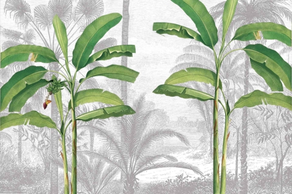 Wallpaper Illustration: Two vibrant banana plants with large green leaves stand out prominently. One plant boasts a cluster of bananas and a single, visible flower. The background is rendered in grayscale, showcasing various tropical palm trees and Cara Palms with detailed yet subdued tones, enhancing the focus on the foreground plants. Key elements include lush green banana leaves, yellow bananas, gray-toned tropical palms, and an intricate but less vivid background.