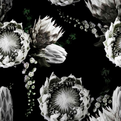 Stunning black background wallpaper adorned with large, blooming white flowers featuring spiky petals and intricate centers. Smaller, delicate white buds interspersed among the larger flowers enhance the elegance. Key elements: black background, large white blooms, spiky petals, intricate centers, delicate white buds.