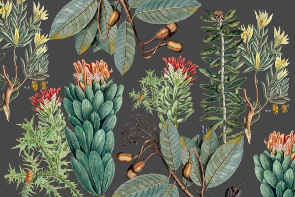 A detailed botanical illustration on the wallpaper features various types of foliage, flowers, and acorns against a dark background. The composition includes green leaves, red and orange blossoms, yellow-green floral elements. It showcases a rich diversity of plant life reminiscent of Cedarburg's natural beauty.