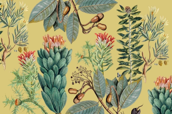 A vibrant botanical illustration wallpaper features an array of detailed plants and flowers on a mustard-yellow background. The design includes leaves, acorns, and flowers with various shapes and colors arranged in an artistic, seamless pattern. Key elements: mustard-yellow background, detailed leaves, acorns, colorful flowers, Cedarburg natural charm.