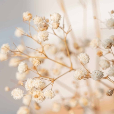 Close-up wallpaper of baby's breath (Gypsophila) featuring delicate, small white blooms on thin, branching stems. The design emphasizes soft and airy appearance with intricate floral details against a light, neutral background. Key elements include: white flowers, thin green stems, soft focus transitions, and a gentle beige or pale gray backdrop.