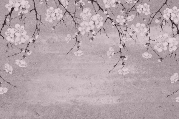 Delicate cherry blossom branches, intricate petals, contrasting dark branches, grayscale image, textured background.