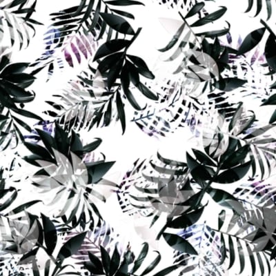Abstract wallpaper showcasing a dense pattern of black and shades of gray tropical leaves overlapping on a white background. The composition features layered effects with varying levels of opacity, resulting in a visually intricate and dynamic design. Key elements: black leaves, gray shades, tropical foliage, overlapping layers, white background.