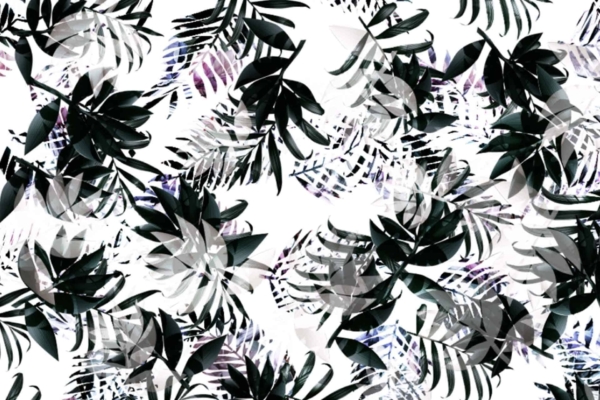 Abstract wallpaper showcasing a dense pattern of black and shades of gray tropical leaves overlapping on a white background. The composition features layered effects with varying levels of opacity, resulting in a visually intricate and dynamic design. Key elements: black leaves, gray shades, tropical foliage, overlapping layers, white background.