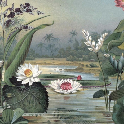Illustration features: Tranquil pond wallpaper, blooming water lilies, aquatic plants, tall grasses, palm trees backdrop, lush greenery, soft cloudy sky.
Colors: Soothing blues and greens for water and sky, vibrant pinks and whites for water lilies, earthy browns and greens for plants and palms.
Keywords: serene pond wallpaper, peaceful nature scene background.