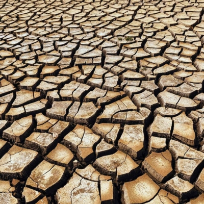 Close-up view of cracked, parched earth wallpaper featuring irregularly shaped brown soil fragments. Highlights severe drought with rough, uneven texture and extreme dehydration. Colors: various shades of brown and hints of gray.