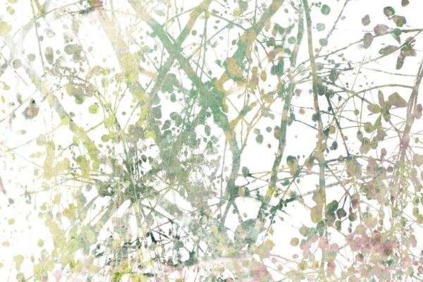 Abstract watercolor wallpaper with overlapping brush strokes and splatters in green, yellow, and brown. Resembles branches and leaves with organically blended colors, creating depth and movement against a white background.