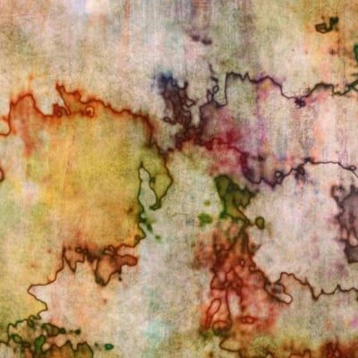 An abstract wallpaper by Danielle's Ink features a mix of vibrant colors—red, green, yellow, and purple. The design showcases irregular, fluid shapes and lines forming a textured, organic pattern. Variations in saturation create areas that are both bold and blurred.
