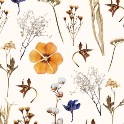 A seamless wallpaper pattern showcasing a variety of dried flowers and plants on a light background. Features orange pansies, blue blossoms, delicate white flowers, preserved florals, brown seed pods, and grasses. The arrangement is scattered and naturalistic. Colors include orange, blue, white, brown, and light neutrals.