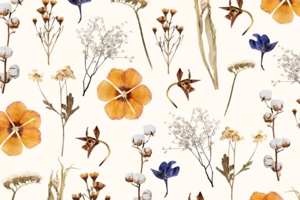 A seamless wallpaper pattern showcasing a variety of dried flowers and plants on a light background. Features orange pansies, blue blossoms, delicate white flowers, preserved florals, brown seed pods, and grasses. The arrangement is scattered and naturalistic. Colors include orange, blue, white, brown, and light neutrals.