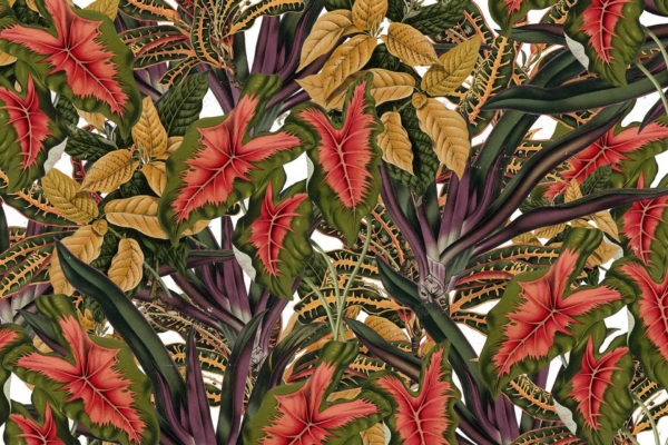 A vibrant botanical illustration wallpaper featuring an array of easy-to-grow leaves in shades of red, green, and gold. Detailed leaf patterns show various shapes, including broad and narrow foliage. Intricate textures create dense, lively tropical foliage with diverse color richness for a vivid background.