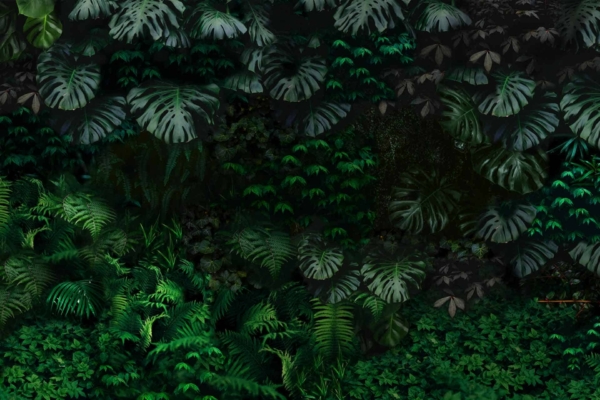 Wallpaper features: dense, lush foliage with various green tropical plants, large leaves, natural jungle atmosphere, expedition feel. Greenery in shades from bright to dark. Intricate details and textures enhancing the vibrant botanical landscape.