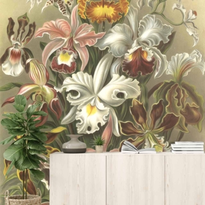 A large floral mural showcasing various orchids in shades of white, pink, yellow, and brown.