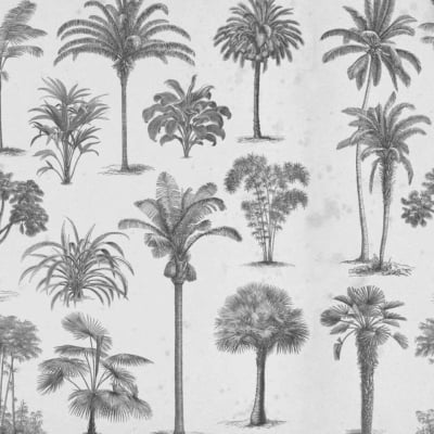 This wallpaper showcases a seamless pattern of hand-drawn palm trees with detailed illustrations. The trees are evenly spaced on a light background, featuring shades of black and grey, which create a classic botanical artwork aesthetic. Keywords: palm tree pattern, hand-drawn, black and grey, light background, botanical wallpaper.