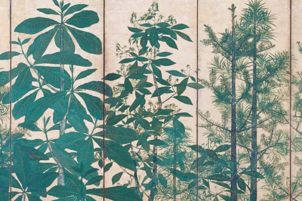 A vintage botanical illustration wallpaper featuring a variety of green plants and foliage against a beige background. The detailed artwork, divided into vertical sections, showcases leaves, stems, and intricate patterns of different forest plant species. Elements include shades of green leaves, intricate leaf patterns, delicate stems, forest plants diversity on a beige backdrop.