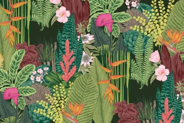 Vibrant and dense tropical jungle wallpaper. Features include: green leaves from various plants, colorful flowers in pink, red, orange, yellow hues. Dark green background enhances vivid colors.