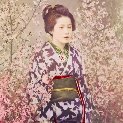 Wallpaper: Traditional Japanese theme, pastel colors, blooming cherry blossoms, elegant kimono with leaf pattern, serene expression.
