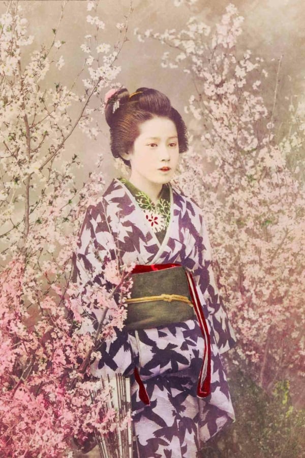 Wallpaper: Traditional Japanese theme, pastel colors, blooming cherry blossoms, elegant kimono with leaf pattern, serene expression.