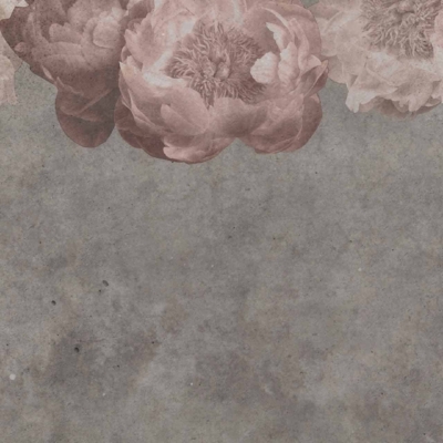 Textured gray background, row of large blooming flowers, muted pink, white, beige petals along the top edge. Detailed and soft flowers create a gentle, romantic atmosphere. Serene embrace.